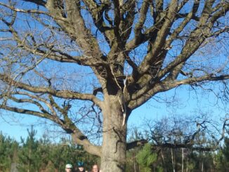 3 vététistes heureux sous un arbre remarquable, et moi, et moi, et moi !